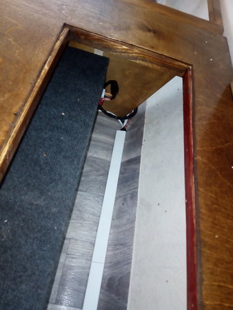 IMG_20200730_141759.jpg