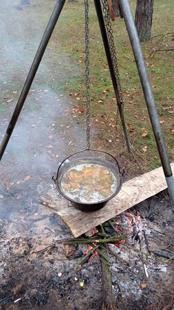 IMG_20201113_141140.jpg