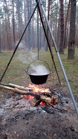 IMG_20201113_124658.jpg