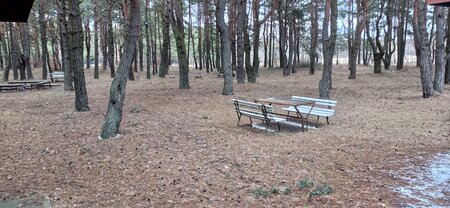 IMG_20220305_141443.jpg