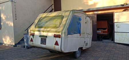 IMG_20250208_152131.jpg