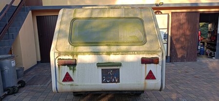 IMG_20250208_152206.jpg