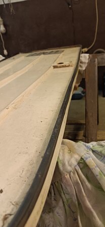 IMG_20250315_183835.jpg