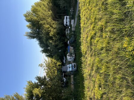 IMG_2574.jpeg