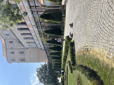 IMG_2783.jpeg