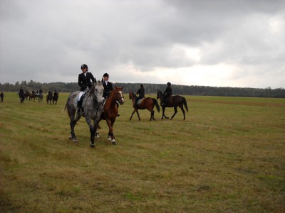DSCN3034.jpg