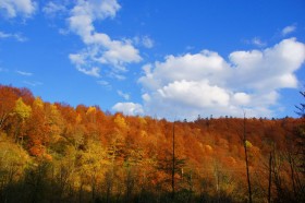 Bieszczady.jpg