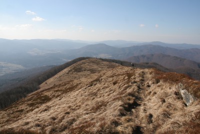 IMG_7402.JPG