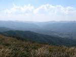 IMG_7772.JPG