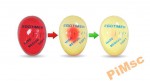 timer-minutnik-do-gotowania-jajek-egg-timer-cz-wa-3649659712.jpg