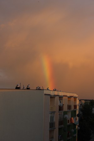 IMG_0077.JPG
