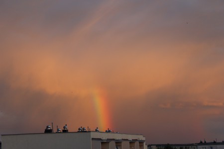 IMG_0092.JPG