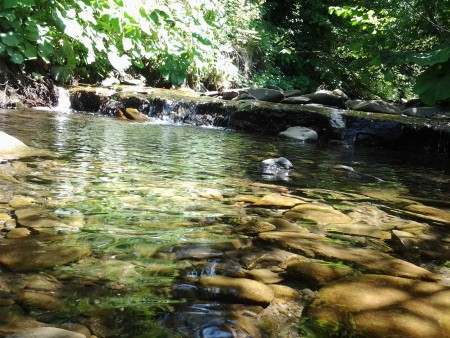 20150712_105539.jpg