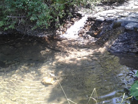 20150712_105820.jpg