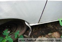 karawaning_w_polsce/tarpan_niewiadow_14