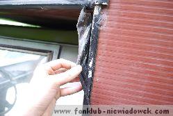 karawaning_w_polsce/tarpan_niewiadow_20