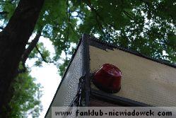 karawaning_w_polsce/tarpan_niewiadow_22