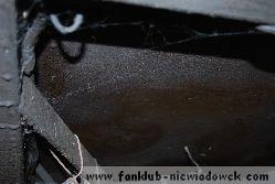 karawaning_w_polsce/tarpan_niewiadow_24