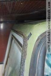 karawaning_w_polsce/tarpan_niewiadow_27