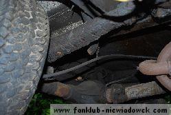 karawaning_w_polsce/tarpan_niewiadow_30