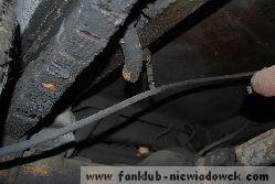 karawaning_w_polsce/tarpan_niewiadow_31