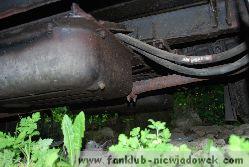 karawaning_w_polsce/tarpan_niewiadow_34