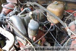 karawaning_w_polsce/tarpan_niewiadow_45