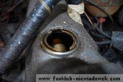 karawaning_w_polsce/tarpan_niewiadow_47