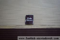 karawaning_w_polsce/tarpan_niewiadow_5