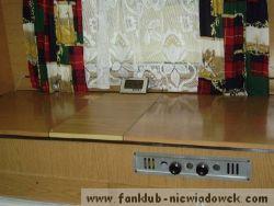 kotek_10