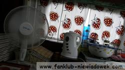 matiulalis_13