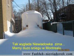stankuten_63