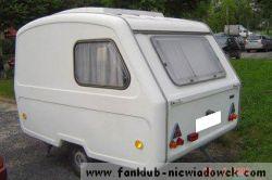 stokrotka452_1