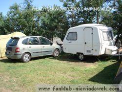 stokrotka452_8