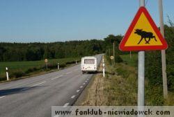 wedrowniczek_6