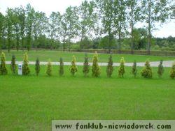 Warka_2