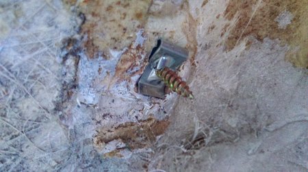 IMAG0582.jpg (2.8 MiB) Przejrzano 19897 razy IMAG0582.jpg