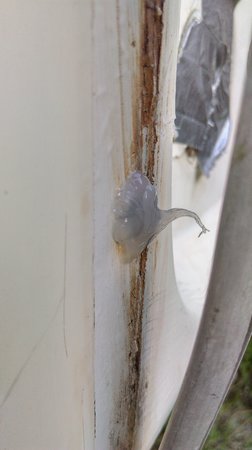 IMAG0577.jpg (3.18 MiB) Przejrzano 19897 razy IMAG0577.jpg