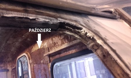 Paździerz.jpg