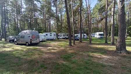 IMG_20250927_120516.jpg