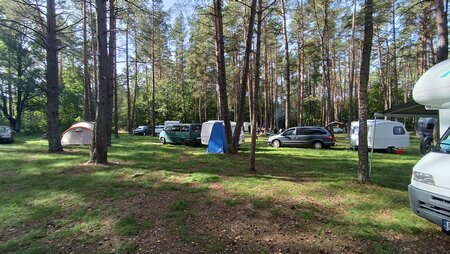 IMG_20250927_120547.jpg