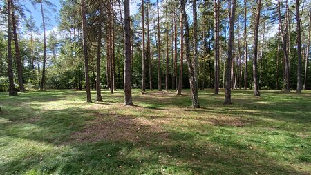 IMG_20250928_121324.jpg