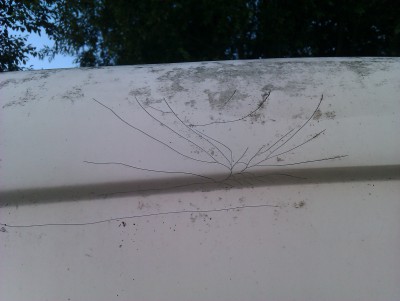IMAG0566.jpg