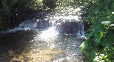 20140704_094346.jpg