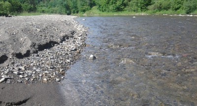 20140704_094308.jpg