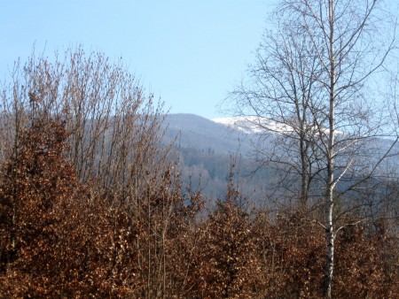 śnieg1.jpg
