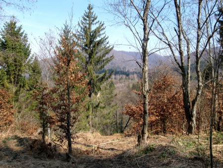 góry 3.jpg