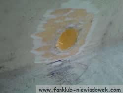 laminat_13