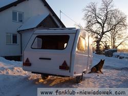 skorupa_11