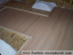 stelaz_4